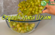 EVDE ÜZÜM KURUTMAK ÇOK KOLAY