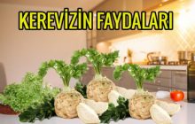 KEREVİZİN FAYDALARI NELERDİR?