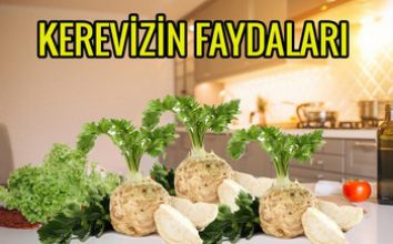 KEREVİZİN FAYDALARI NELERDİR?