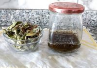 SIVI STEVİA ÖZÜ NASIL ELDE EDİLİR?