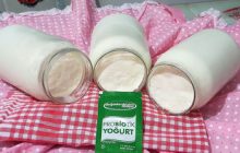 DOĞADAN PROBİYOTİK YOĞURT MAYALI TAŞ GİBİ YOĞURT TARİFİ