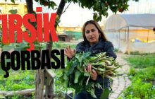 Tırşik Otu ile Yapılan Şifalı Yöresel Çorba Tarifi