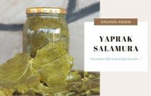 PRATİK SALAMURA YAPRAK TARİFİ