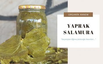 PRATİK SALAMURA YAPRAK TARİFİ